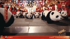 味着魔法原子正在关节模组、工致手、减速器等